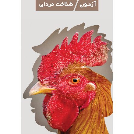 آزمون شناخت مردان